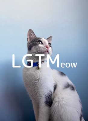 lgtm-cat-image