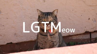 lgtm-cat-image