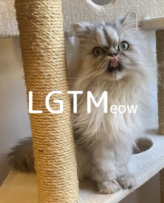 lgtm-cat-image