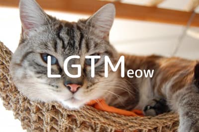 lgtm-cat-image